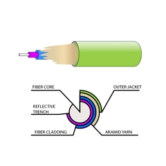 Fiber Optics: The new benchmark for Fiber Optics - OM5 image
