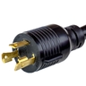 NEMA L5-30P
