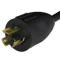 NEMA L6-15P