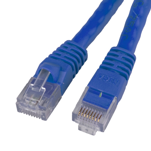 cat 6a blue.jpg