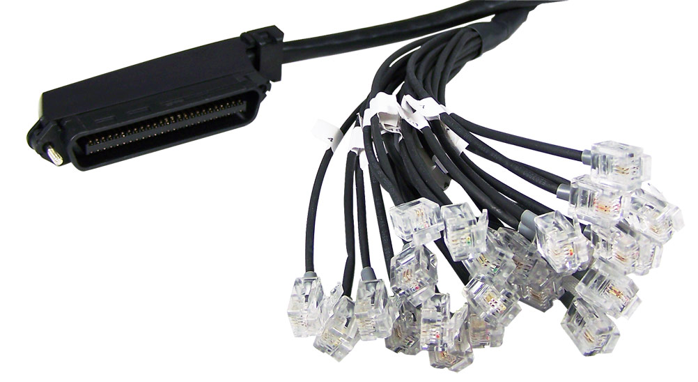 Telco RJ21 to RJ45 Breakout Cable Assembly